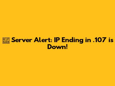 🚨 Server Alert: IP Ending in .107 is Down!