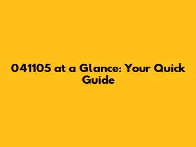 041105 at a Glance: Your Quick Guide