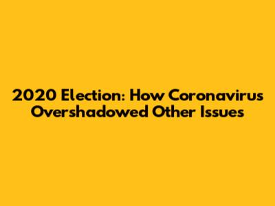 2020 Election: How Coronavirus Overshadowed Other Issues