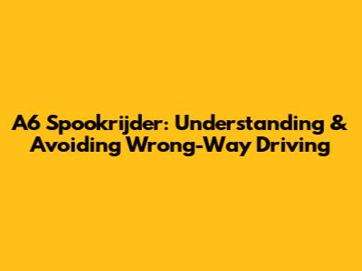 A6 Spookrijder: Understanding & Avoiding Wrong-Way Driving