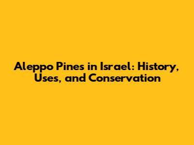 Aleppo Pines in Israel: History, Uses, and Conservation