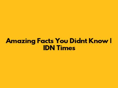 Amazing Facts You Didn't Know | IDN Times