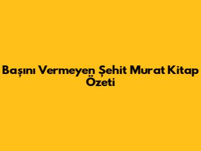 Başını Vermeyen Şehit Murat Kitap Özeti