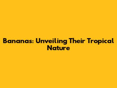 Bananas: Unveiling Their Tropical Nature