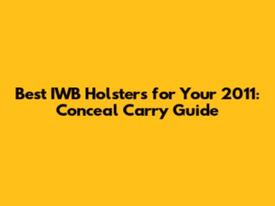 Best IWB Holsters for Your 2011: Conceal Carry Guide