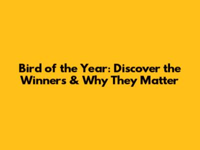 Bird of the Year: Discover the Winners & Why They Matter