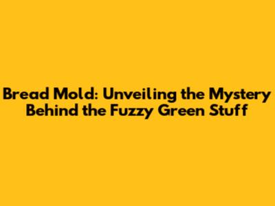 Bread Mold: Unveiling the Mystery Behind the Fuzzy Green Stuff