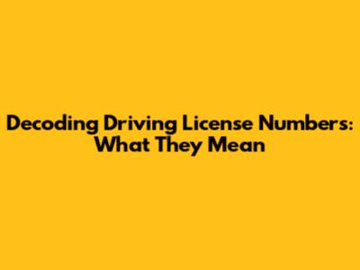 Decoding Driving License Numbers: What They Mean