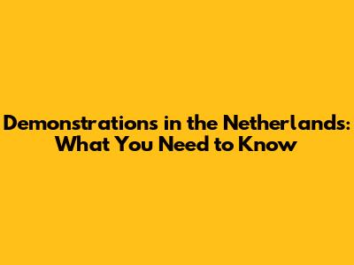 Demonstrations in the Netherlands: What You Need to Know