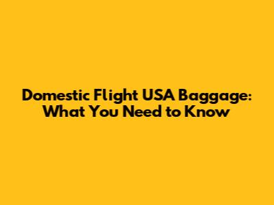 Domestic Flight USA Baggage: What You Need to Know