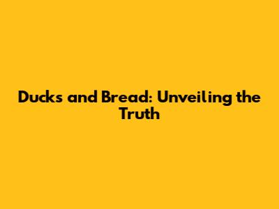 Ducks and Bread: Unveiling the Truth