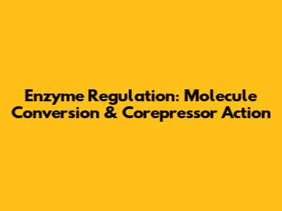 Enzyme Regulation: Molecule Conversion & Corepressor Action