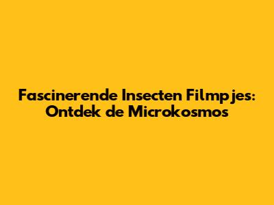 Fascinerende Insecten Filmpjes: Ontdek de Microkosmos