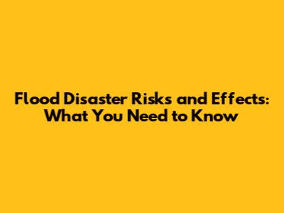 Flood Disaster Risks and Effects: What You Need to Know