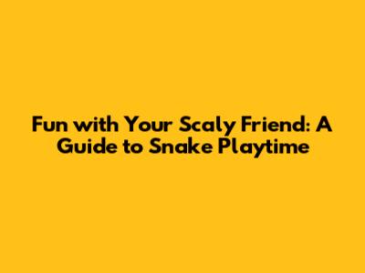 Fun with Your Scaly Friend: A Guide to Snake Playtime