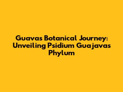 Guava's Botanical Journey: Unveiling Psidium Guajava's Phylum