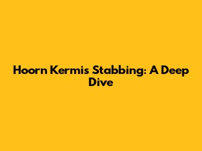 Hoorn Kermis Stabbing: A Deep Dive