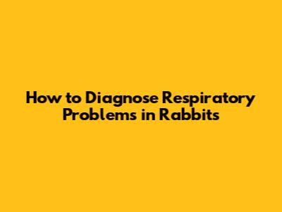 How to Diagnose Respiratory Problems in Rabbits