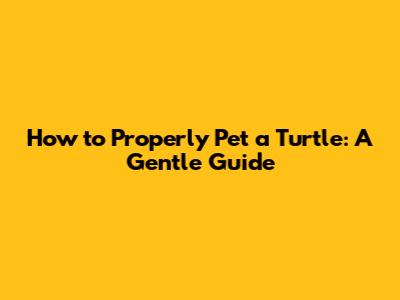How to Properly Pet a Turtle: A Gentle Guide