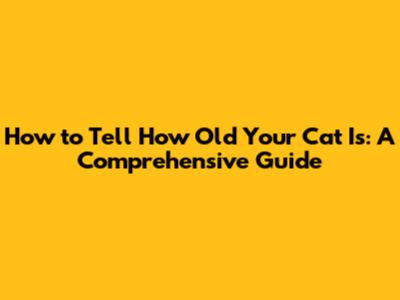How to Tell How Old Your Cat Is: A Comprehensive Guide