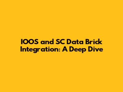 IOOS and SC Data Brick Integration: A Deep Dive