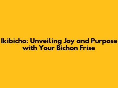 Ikibicho: Unveiling Joy and Purpose with Your Bichon Frise