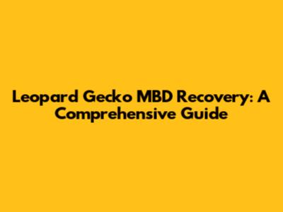 Leopard Gecko MBD Recovery: A Comprehensive Guide
