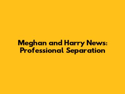 Meghan and Harry News: Professional Separation