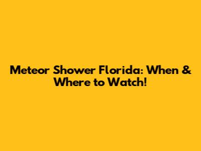 Meteor Shower Florida: When & Where to Watch!