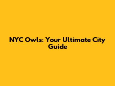 NYC Owls: Your Ultimate City Guide