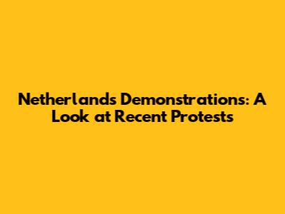 Netherlands Demonstrations: A Look at Recent Protests
