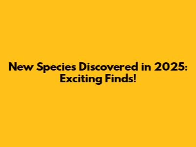 New Species Discovered in 2025: Exciting Finds!