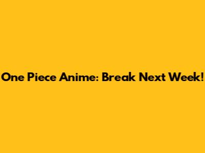 One Piece Anime: Break Next Week!