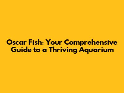 Oscar Fish: Your Comprehensive Guide to a Thriving Aquarium