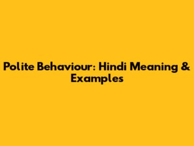 Polite Behaviour: Hindi Meaning & Examples