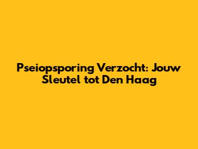 Pseiopsporing Verzocht: Jouw Sleutel tot Den Haag