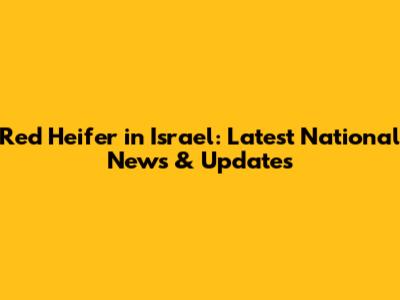 Red Heifer in Israel: Latest National News & Updates