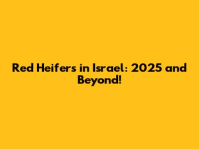 Red Heifers in Israel: 2025 and Beyond!