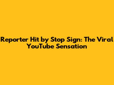 Reporter Hit by Stop Sign: The Viral YouTube Sensation