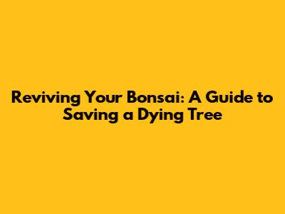 Reviving Your Bonsai: A Guide to Saving a Dying Tree