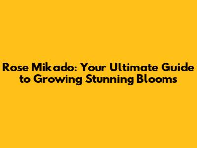 Rose Mikado: Your Ultimate Guide to Growing Stunning Blooms