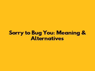 Sorry to Bug You: Meaning & Alternatives