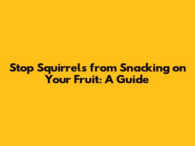 Stop Squirrels from Snacking on Your Fruit: A Guide
