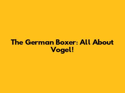 The German Boxer: All About Vogel!