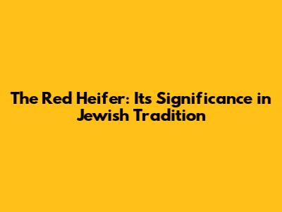 The Red Heifer: Its Significance in Jewish Tradition