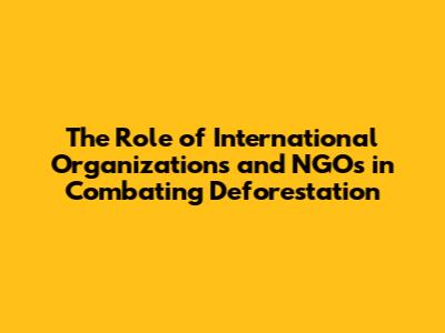 The Role of International Organizations and NGOs in Combating Deforestation