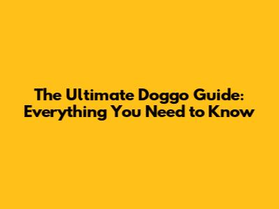 The Ultimate Doggo Guide: Everything You Need to Know