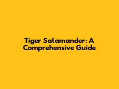 Tiger Salamander: A Comprehensive Guide