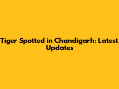 Tiger Spotted in Chandigarh: Latest Updates