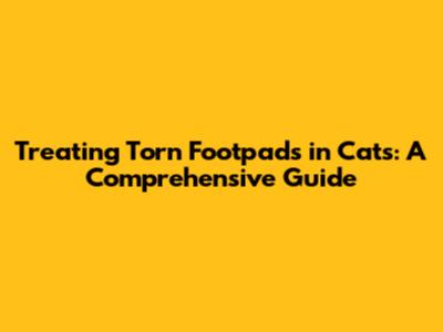 Treating Torn Footpads in Cats: A Comprehensive Guide